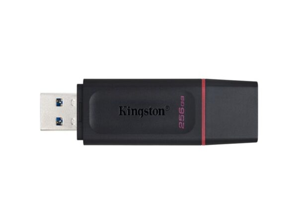 Memoria flash USB 3.2 Gen 1 de 256 GB negro con rosa DataTraveler Exodia Kingston