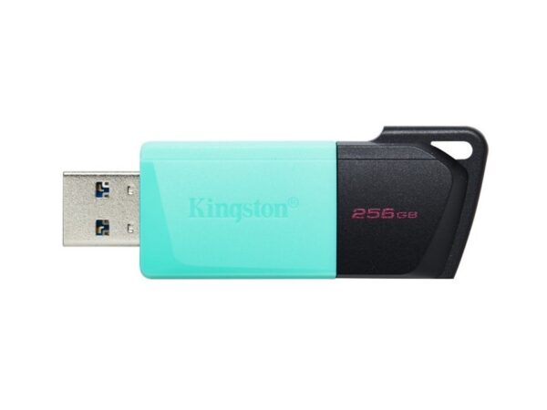 Memoria USB 3.2 Gen 1 de 256 GB DataTraveler Exodia M Kingston