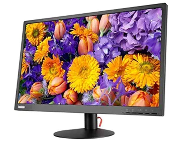 Lenovo ThinkVision E24-10