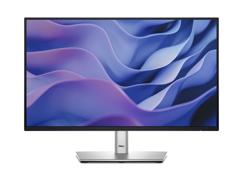 Monitor Pro 22" Plus P2225H Dell